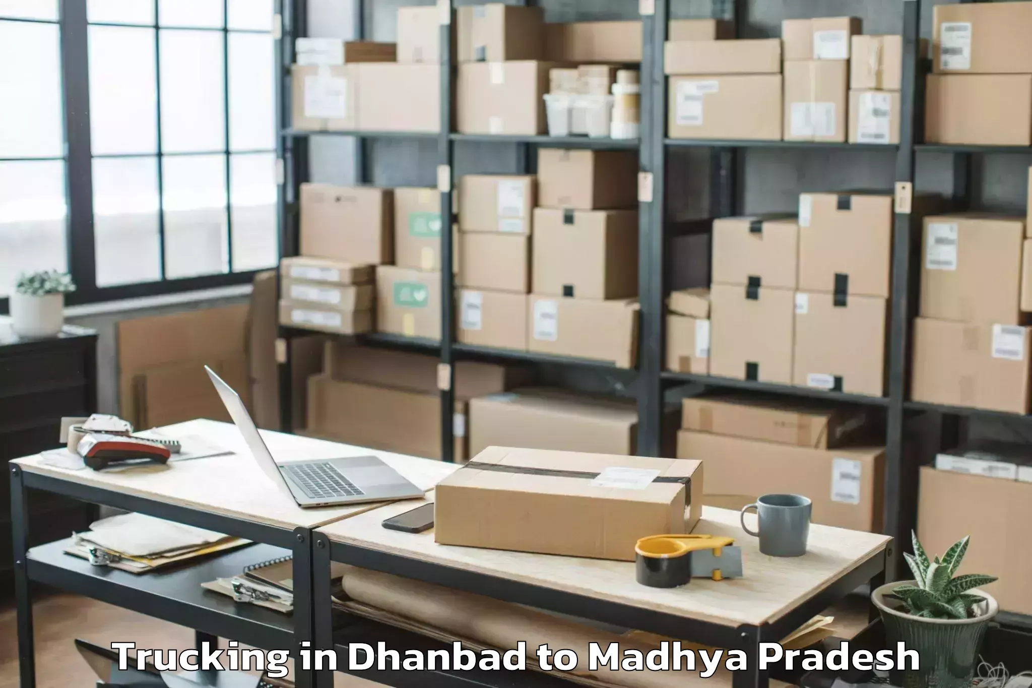 Easy Dhanbad to Amarwara Trucking Booking